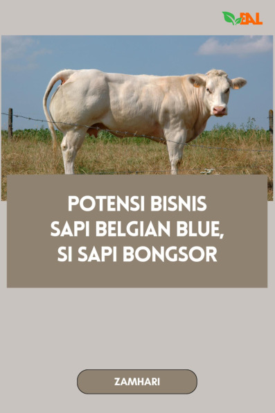 Sampul buku Potensi Bisnis Sapi ...